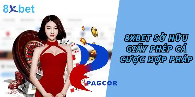 giay-phep-hoat-dong-8xbet