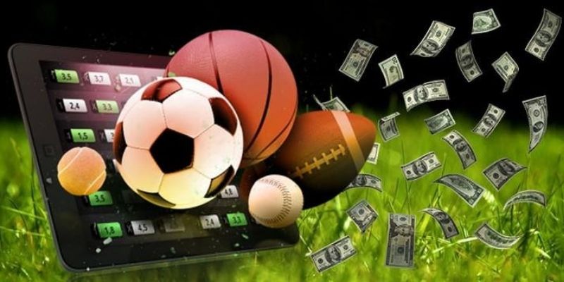 Thể thao 8XBET dẫn đầu, hội tụ đỉnh cao cá cược